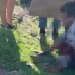 Homem é atropelado na Ponta Negra e se arrasta em via para não morrer esmagado; condutor fugiu