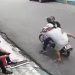 Vídeo: homem mexe no celular em Manaus e acaba roubado na rua