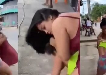 Vídeo: blindadas trocam carinho na ZL para ver quem é a dona do alecrim