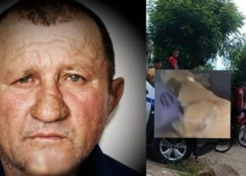 Vídeo: idoso é assassinado e devorado pelo próprio cachorro dentro de casa