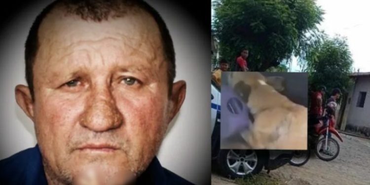 Vídeo: idoso é assassinado e devorado pelo próprio cachorro dentro de casa