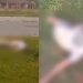 Vídeo: veja como ficou corpo de motoqueiro degolado após acidente