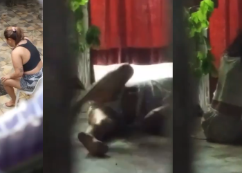 Vídeos mostram mãe da ex-sinhazinha em surto da droga e funcionária tendo reação após uso; veja