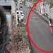 Mistério: Vídeo mostra garota de 17 anos que está desaparecida correndo em rua no P 10; veja