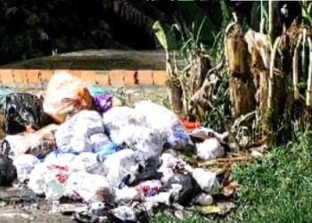 Cenas fortes: Jovens são assassinados em Manaus e corpos jogados em ‘lixeira viciada’