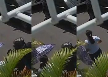 Veja momento em que mulher é assaltada por motoqueiro em Manaus