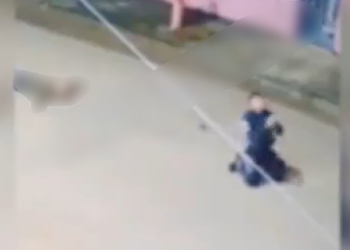 Vídeo: PM se ajoelha e agradece a Deus ao escapar de tiros e conseguir matar foragido