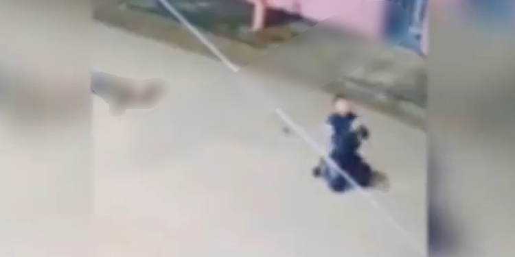 Vídeo: PM se ajoelha e agradece a Deus ao escapar de tiros e conseguir matar foragido