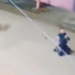 Vídeo: PM se ajoelha e agradece a Deus ao escapar de tiros e conseguir matar foragido