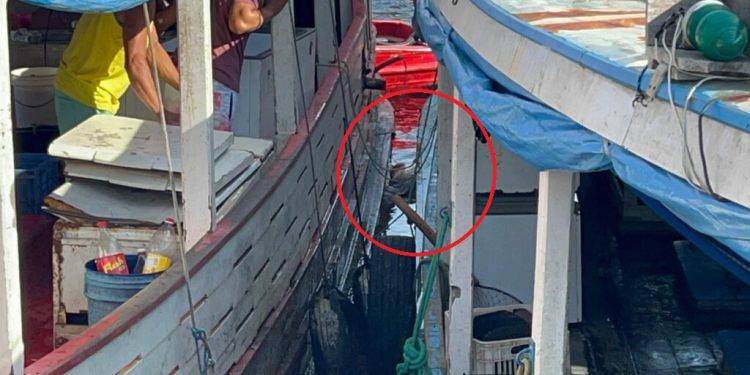 Com o rosto todo furado, corpo de homem é encontrado na Feira da Panair, em Manaus
