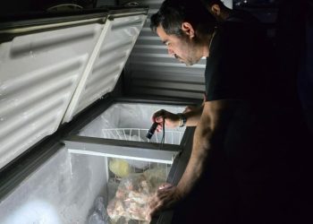 Polícia Civil do Amazonas apreende cerca de 100 kg de carne de jacaré