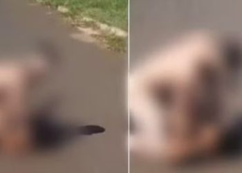 Vídeo: homem nu sai do motel com mulher e tenta asfixiar vítima na estrada: ‘me roubou’