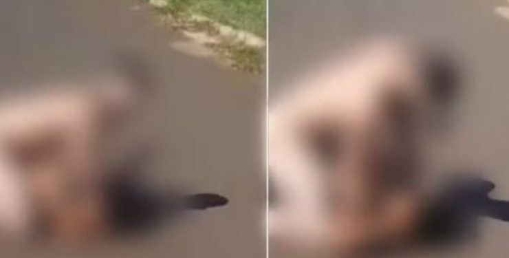 Vídeo: homem nu sai do motel com mulher e tenta asfixiar vítima na estrada: ‘me roubou’