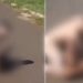 Vídeo: homem nu sai do motel com mulher e tenta asfixiar vítima na estrada: ‘me roubou’