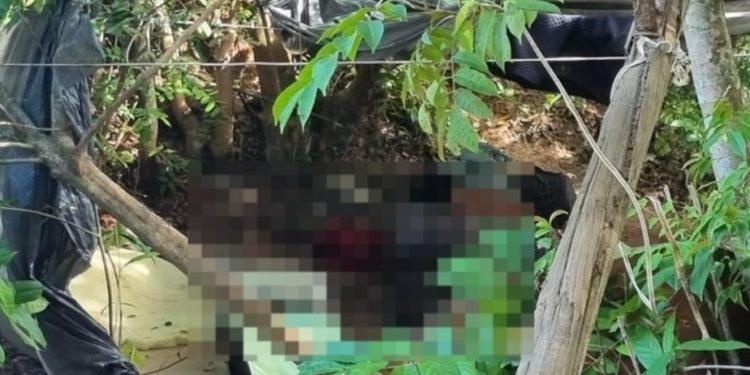 Moradores do São Raimundo encontram cadáver e chamam a polícia