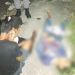 Motoristas de app se revoltam e espancam até a morte suspeito de assalto no Santa Etelvina