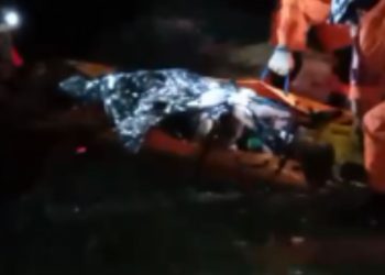 Mulher grávida confunde igarapé com barranco e se joga; bombeiros socorreram ela com vida - VÍDEOS