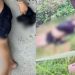 Mãe acorda e encontra o filho morto em barranco perto de sua casa no Colônia Terra Nova
