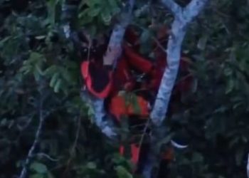 Vídeo: paraquedista fica preso em árvore em Manaus e passa duas horas para ser resgatado