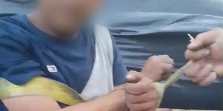 Vídeo: homem que invadiu galpão recebe uma ‘peia’ no Coroado após ser amarrado