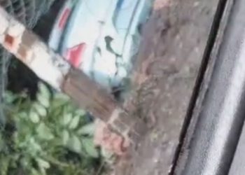 Motorista joga o carro em cercado de arame e evita acidente fatal: "vinha na minha frente"; VEJA