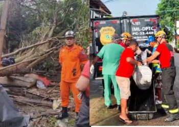 Vídeo mostra homem que foi esmagado após árvore tombar no bairro Redenção