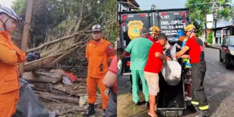 Vídeo mostra homem que foi esmagado após árvore tombar no bairro Redenção
