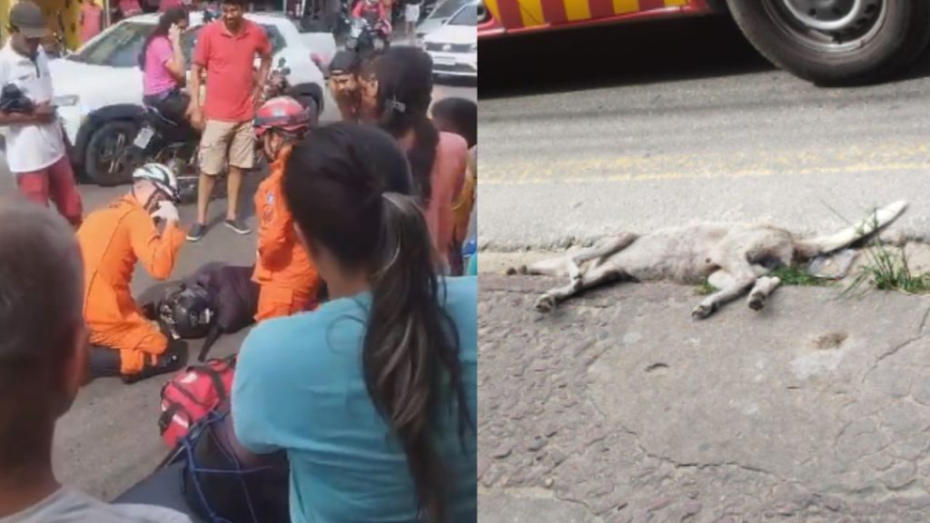 Motoqueiro sofre acidente após atropelar cachorro em Manaus; veja