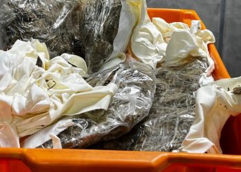 Mulher coloca 1kg de maconha envolta do corpo e acaba presa tentando viajar em Manaus