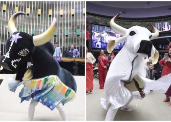 Garantido e Caprichoso são homenageados na Câmara dos Deputados