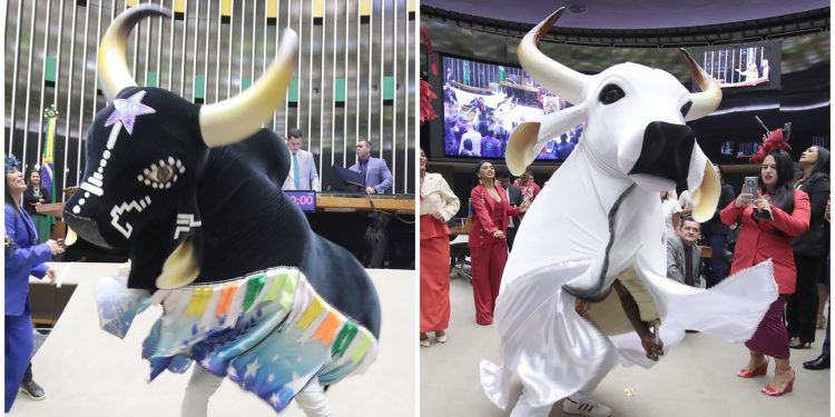 Garantido e Caprichoso são homenageados na Câmara dos Deputados
