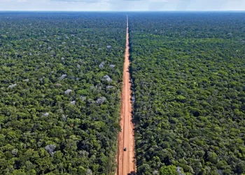 Relatório do Ministério do Transporte conclui que pavimentação da BR-319 é viável ambientalmente