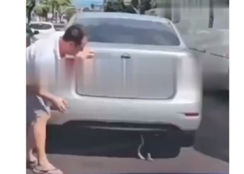 Em plena Djalma Batista, motorista descobre cobra pendurada no carro: ‘Enfeite diferenciado’; veja