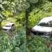 Toma tua merenda: Motora de app apanha e tem o carro jogado na mata após atropelar idoso