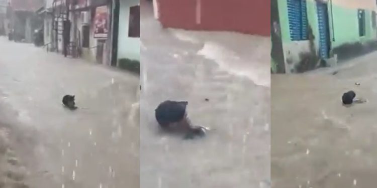 Vídeo: beco alaga em Manaus e água podre arrasta morador