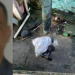 Sargento procurado por ‘arrocho’ de drogas em Manaus se entrega à polícia