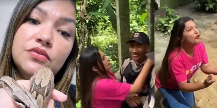 Joana Darc é acusada de usar cobras de Djidja para repetir fama que fez com capivara Filó
