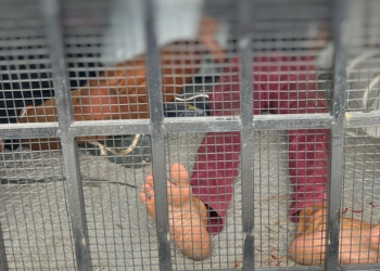 Dupla apanha após agredir idoso e cr1@nça na Djalma e mulher pede para pararem: ‘Em nome de Jesus’