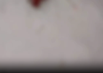 Vídeo: Em Manaus, esposa vê o marido ser sequestrado e depois ele é morto com vários tiros