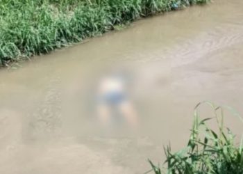 Imagem forte: moradores de Manaus olham para o igarapé e avistam morto boiando