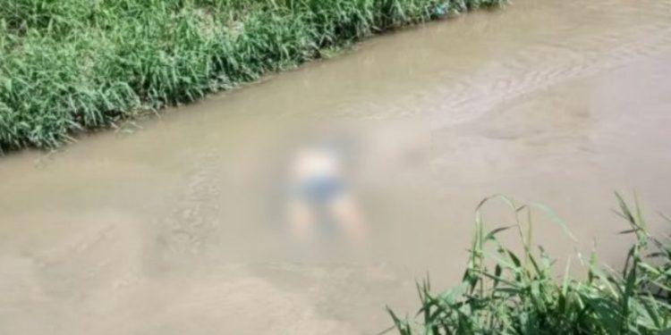 Imagem forte: moradores de Manaus olham para o igarapé e avistam morto boiando