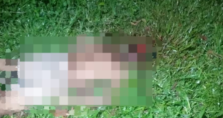 Na AM-010, caseiro mata o outro na base da paulada até o crânio se despedaçar