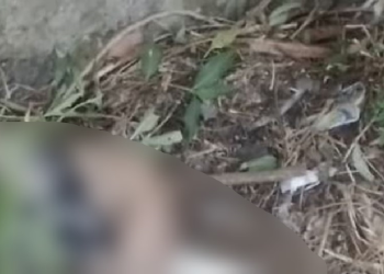 Na contramão, jovem morre ao atingir ônibus coletivo na Zona Leste de Manaus; veja