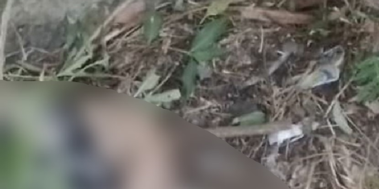 Na contramão, jovem morre ao atingir ônibus coletivo na Zona Leste de Manaus; veja
