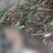 Na contramão, jovem morre ao atingir ônibus coletivo na Zona Leste de Manaus; veja