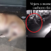 Veja: Se achando o ‘machão’, homem dá duas facadas em cachorro que latiu para a esposa dele em Manaus