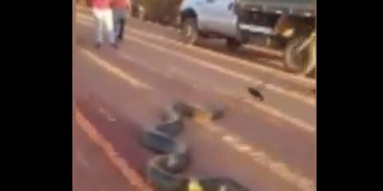 Bombeiros são chamados para resgatar sucuri gigante em estrada do Amazonas; vídeo