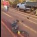 Bombeiros são chamados para resgatar sucuri gigante em estrada do Amazonas; vídeo