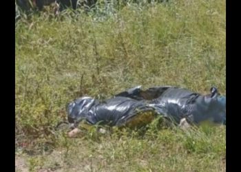 Vídeo: família identifica executado no Tarumã, e defende que ele não era bandido