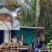 Delegada prende tutor de cachorro que deixou o animal apodrecendo em casa